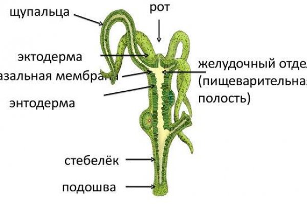 Кракен сайт