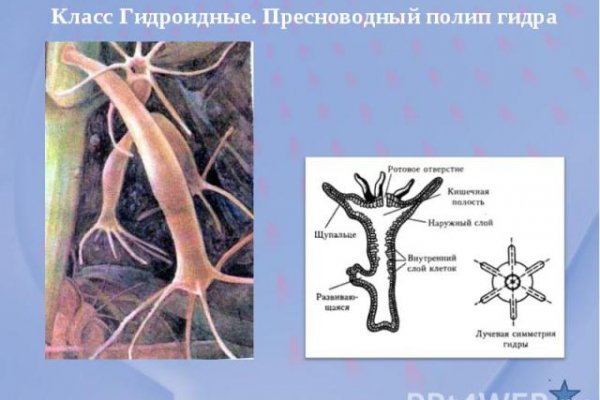 Замена hydra