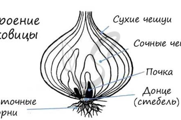 Кракен войти